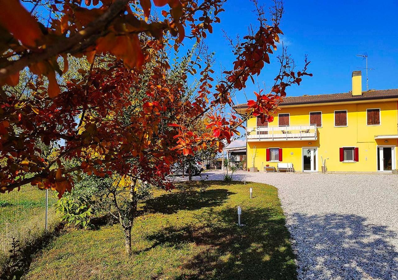Appartement Yard 151 à Noventa di Piave Extérieur photo