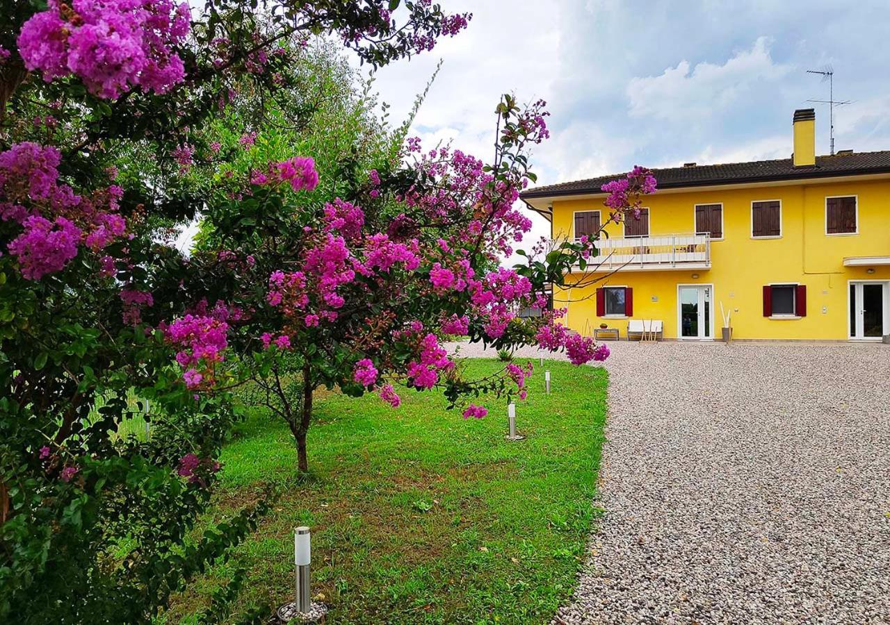 Appartement Yard 151 à Noventa di Piave Extérieur photo