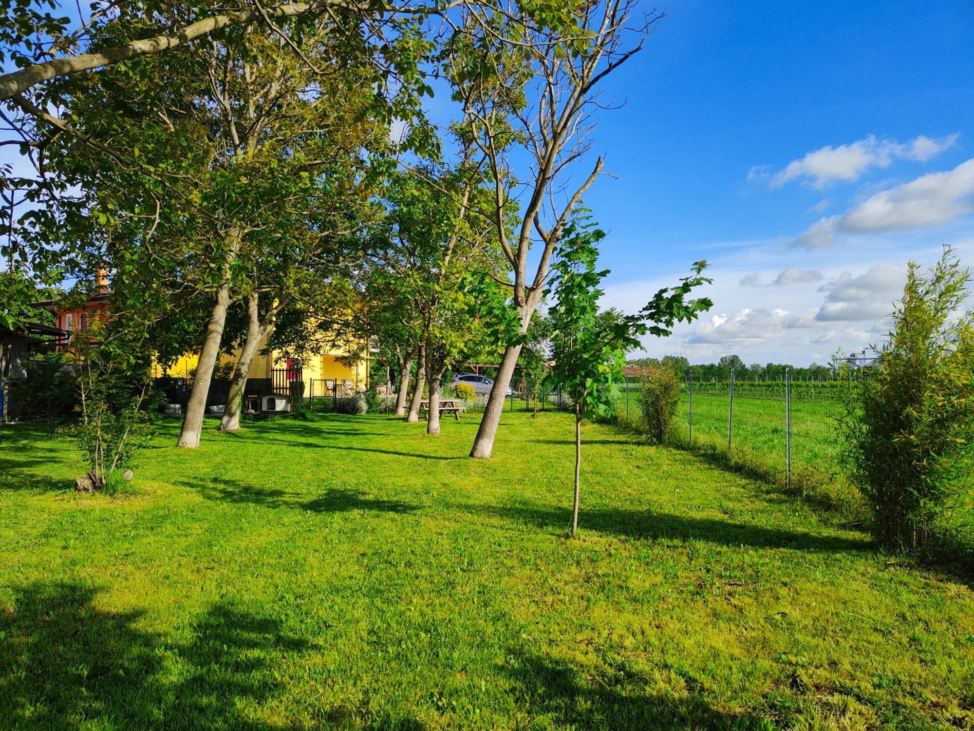 Appartement Yard 151 à Noventa di Piave Extérieur photo